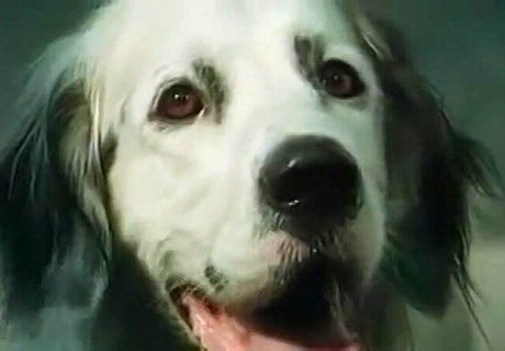 Изображение анонса