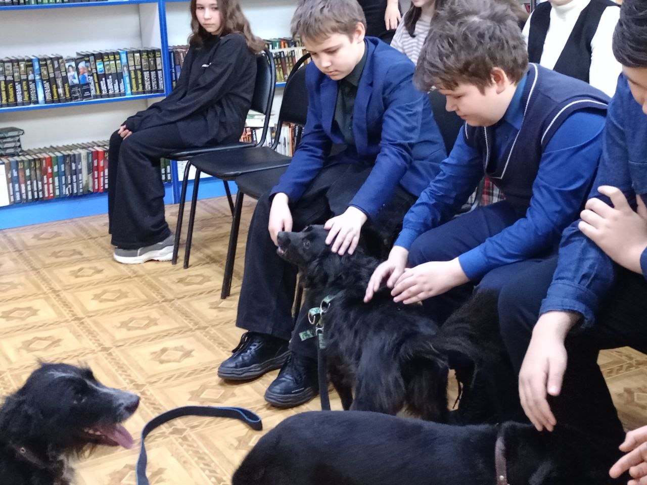 Изображение новости