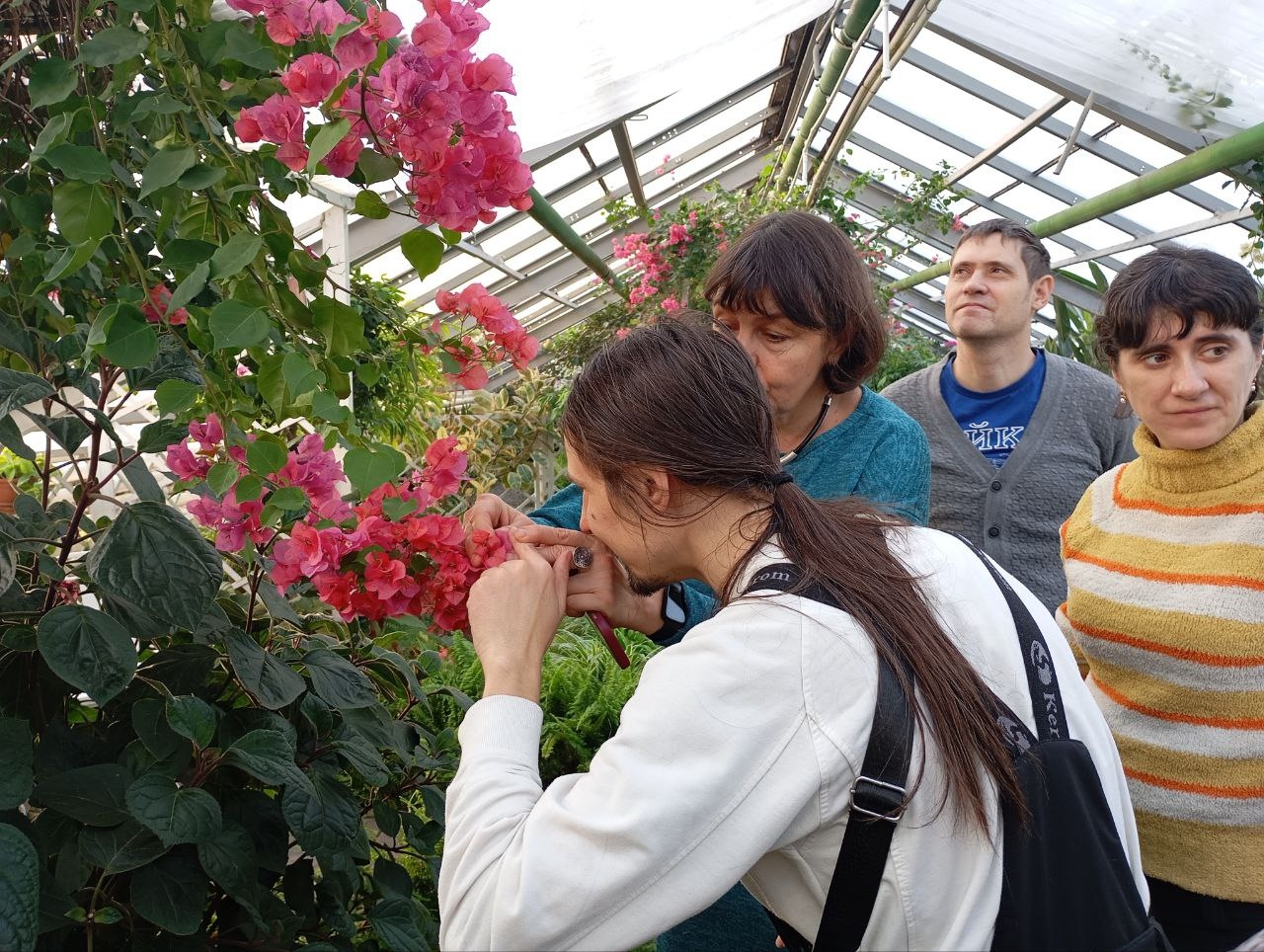 Изображение новости