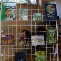 Изображение новости