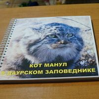 Изображение новости