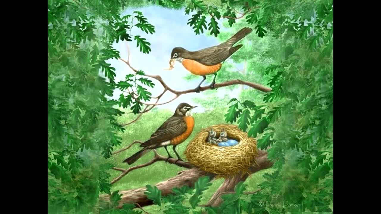 Изображение новости